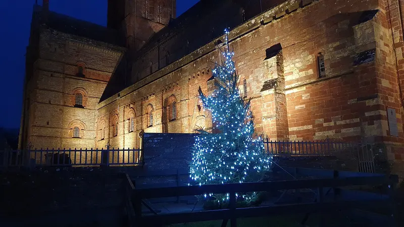 A Christmas tree covered in blue-white lights beside the floodlit red sandstone walls of St Magnus Cathedral at dusk