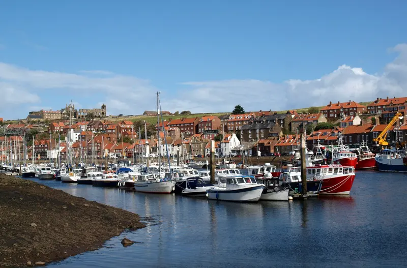 Yachts and motor boats moored in Whitby marina on the River Esk, with rows of red-roofed houses climbing the hillside behind under a blue sky